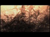 Chaos Theory