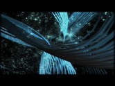 Chaos Theory