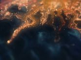 Empires