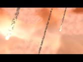 The Prophecy - Project Nemesis