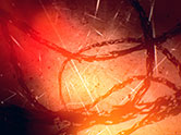 Universal Sequence