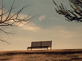 When Silence Dims The Stars Above