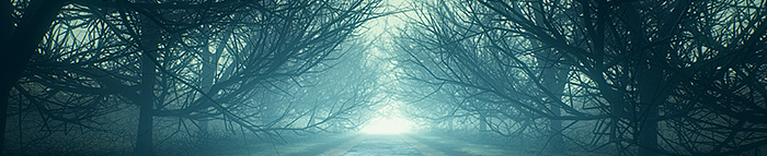 When Silence Dims The Stars Above